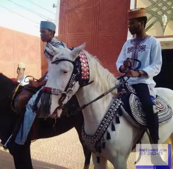 Photos: The Sanusi Princes Go For a Horse Riding In Kano